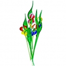 Цветок Ириса - вид 1