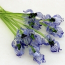 Artistic gift, souvenir Iris Flower