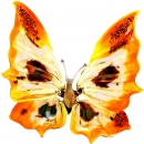 Бабочка из стекла - Вид 1