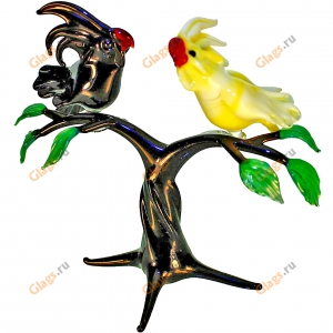 Попугаи какаду на дереве